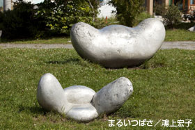 photo13