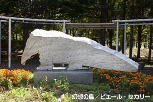 photo35