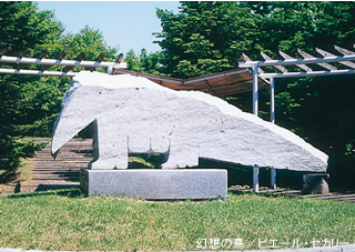 photo10