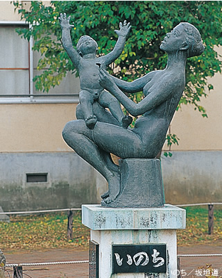 photo11