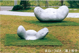 photo14